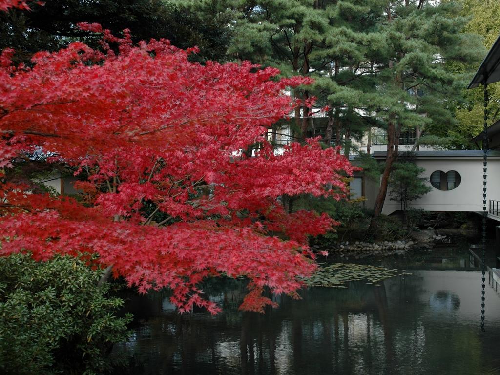 Matsusaki Nomi Exterior photo