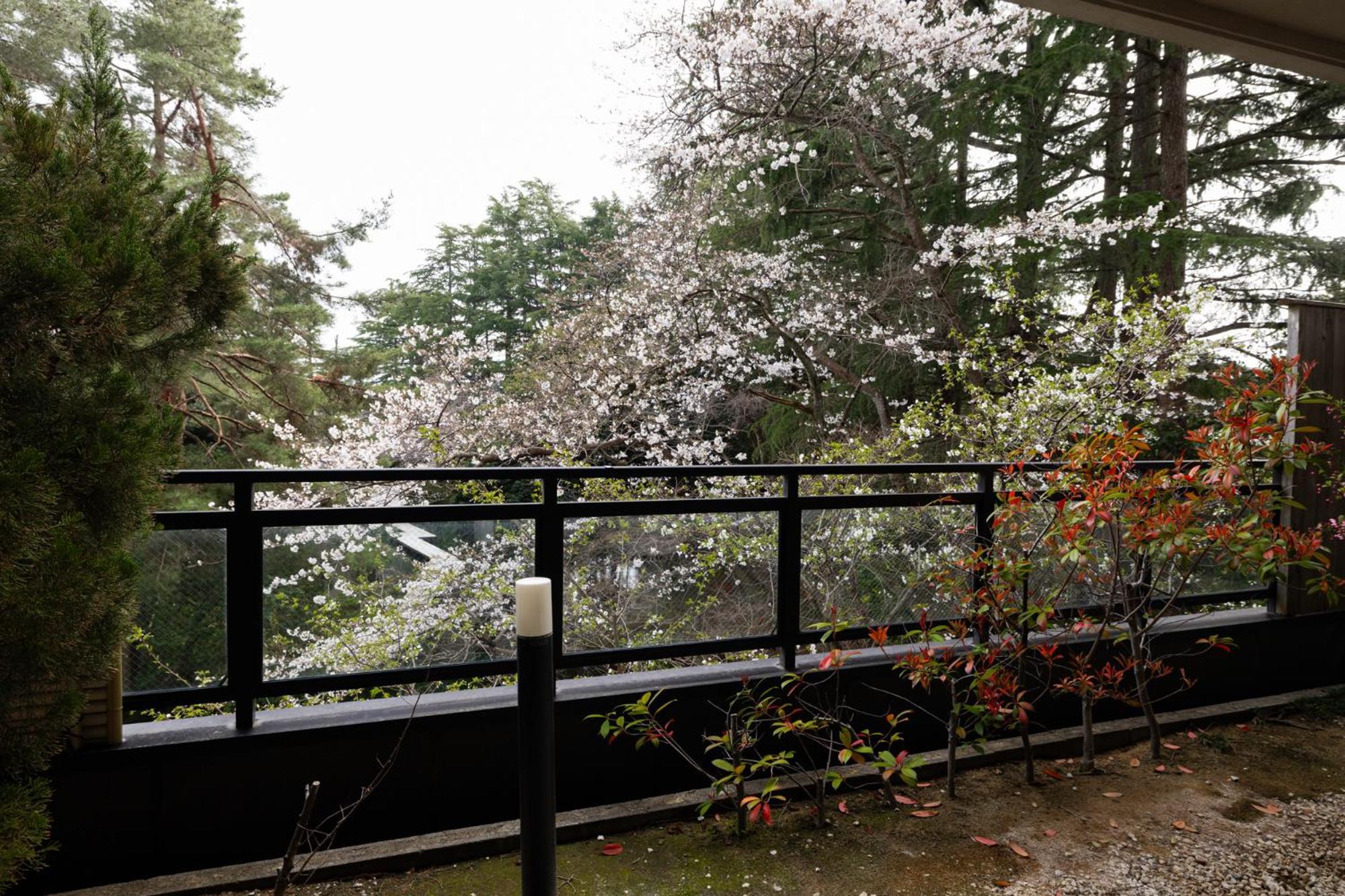 Matsusaki Nomi Exterior photo